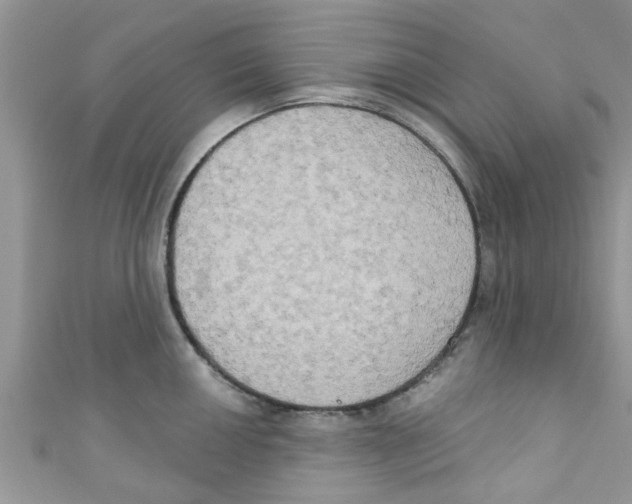 X0000111021050200907171851