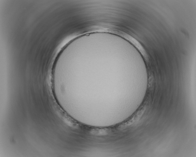 X0000111021051200907171851