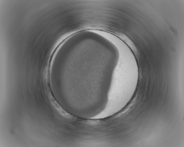 X0000111021052200907171851