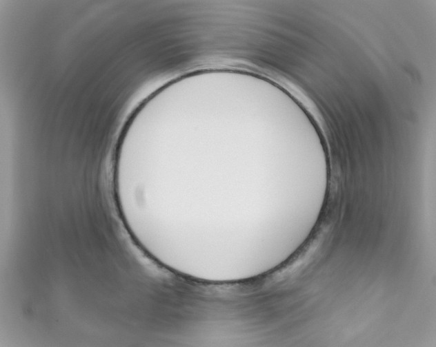 X0000111021053200907171851