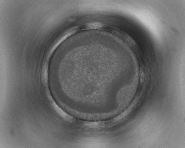 X0000111021054200907171851