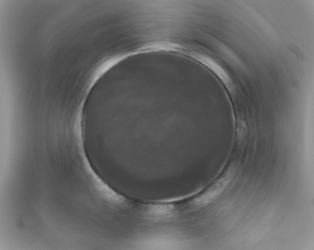 X0000111021055200907171851