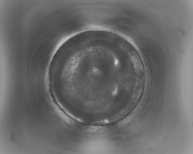 X0000111021056200907171851