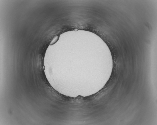 X0000111021058200907171850