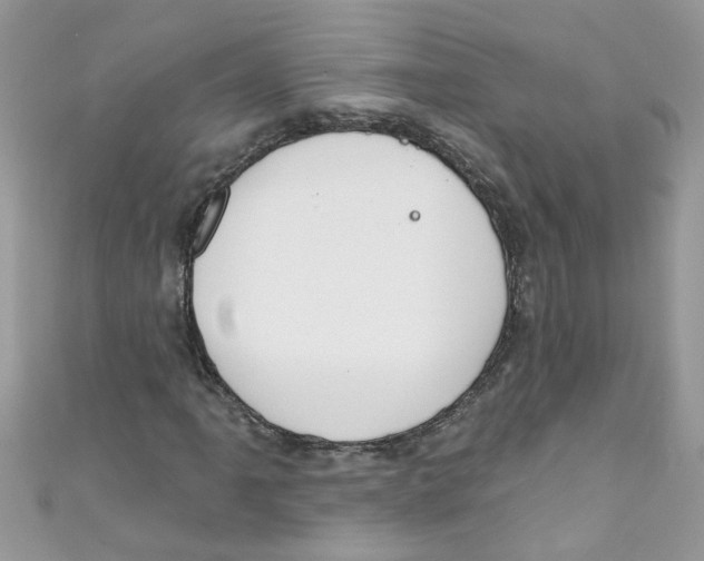 X0000111021061200907171850
