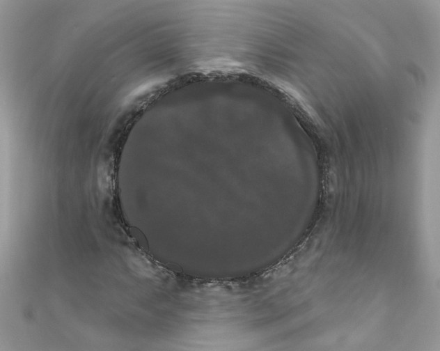 X0000111021063200907171850