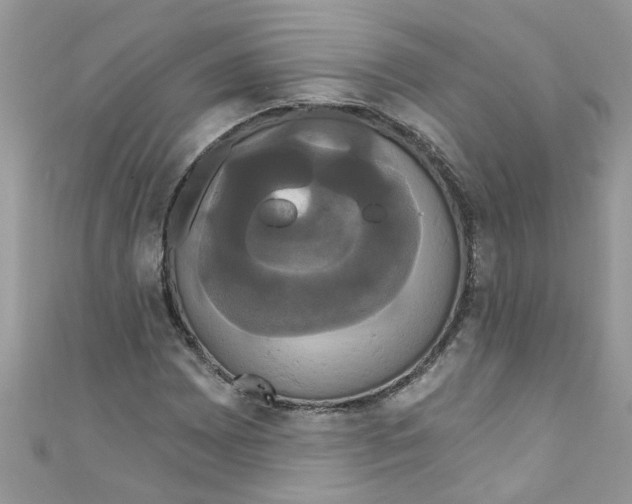 X0000111021065200907171850