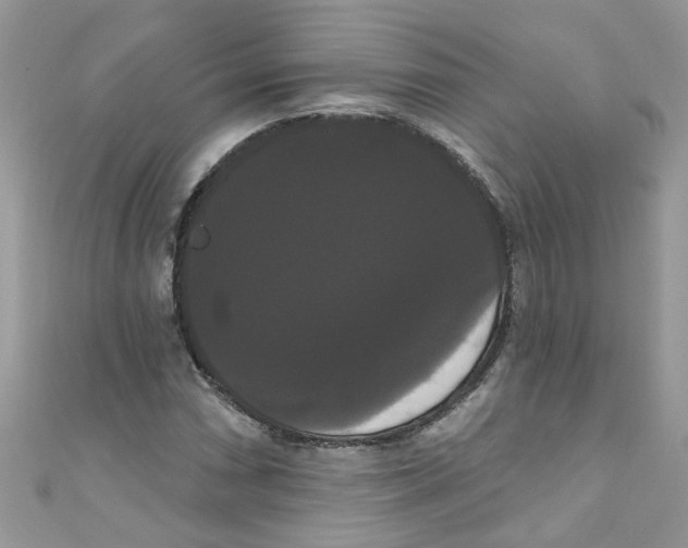 X0000111021066200907171850