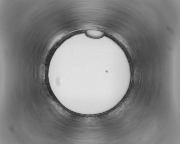 X0000111021067200907171850