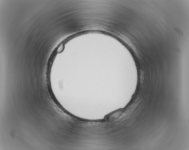 X0000111021068200907171850