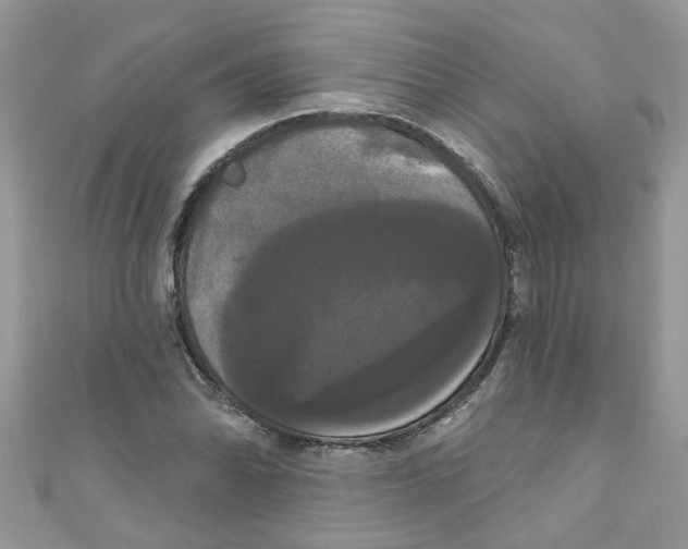 X0000111021070200907171850