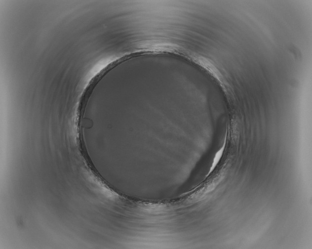 X0000111021071200907171850