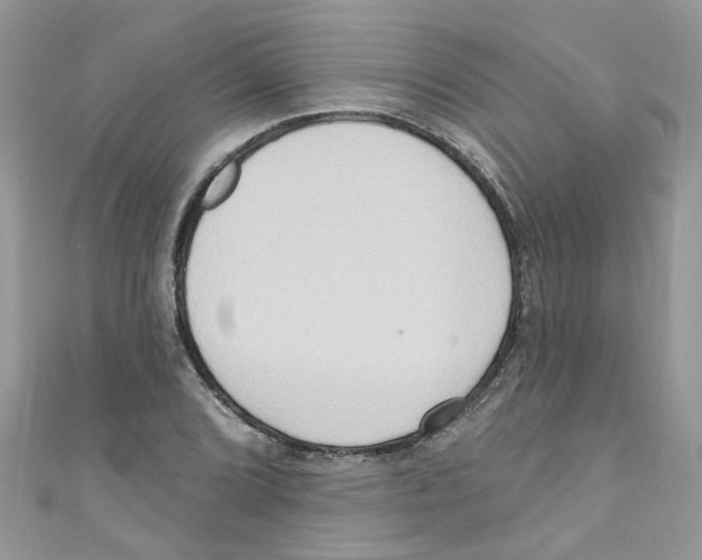 X0000111021072200907171850