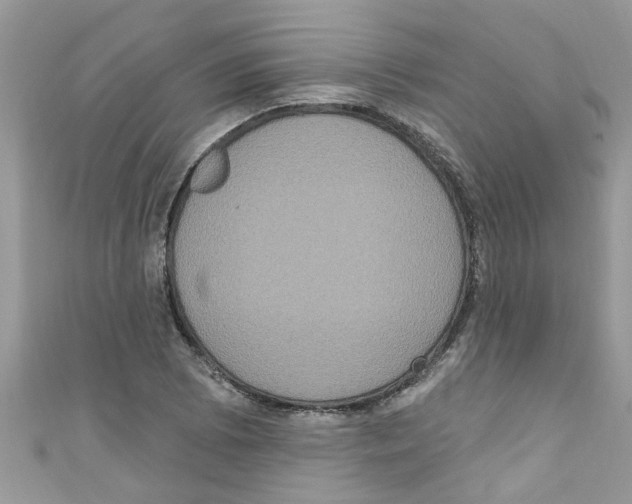 X0000111021073200907171850