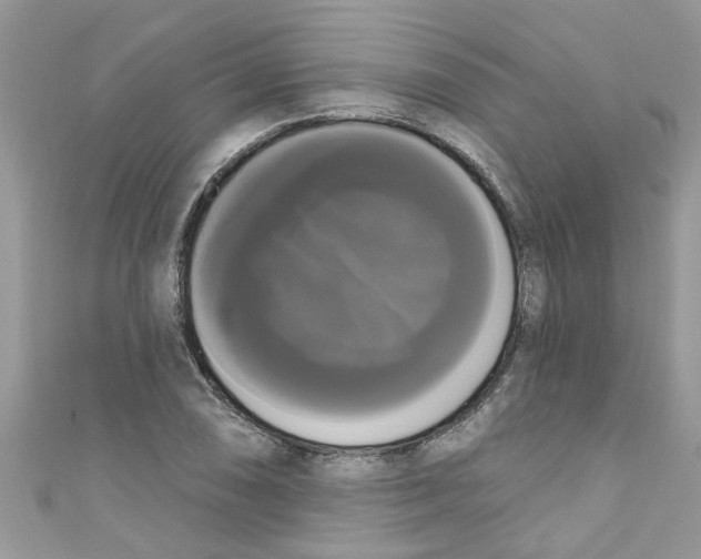 X0000111021074200907171850