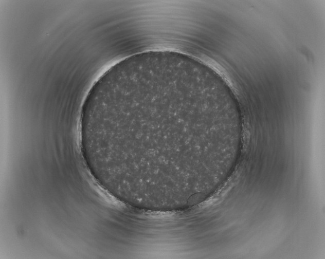 X0000111021076200907171850