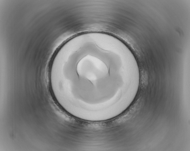 X0000111021078200907171850