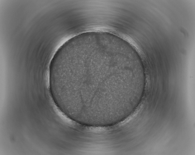 X0000111021079200907171850
