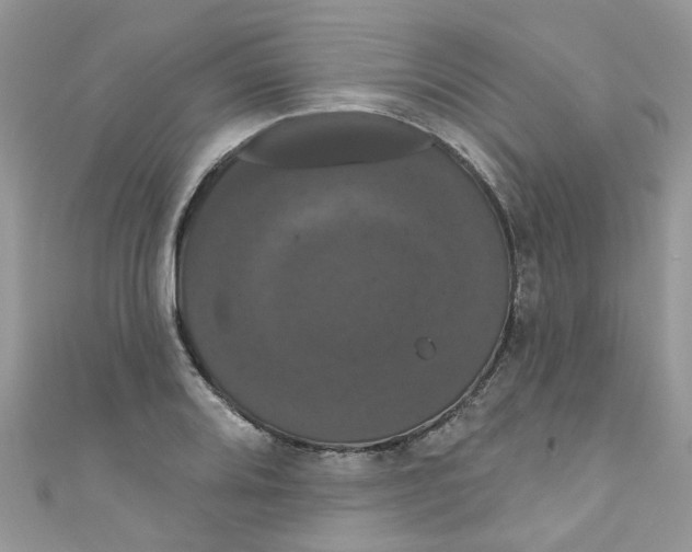 X0000111021080200907171850