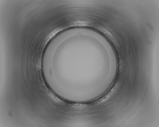 X0000111021081200907171850