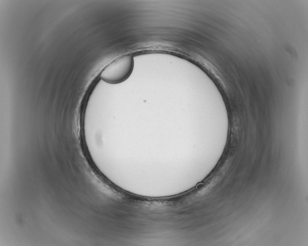 X0000111021082200907171850