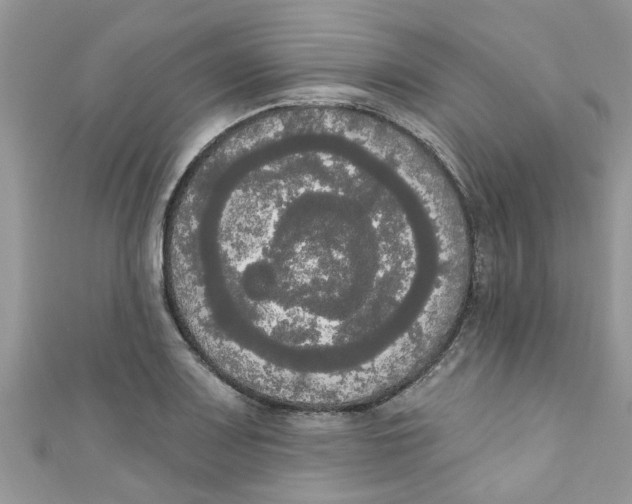 X0000111021083200907171850