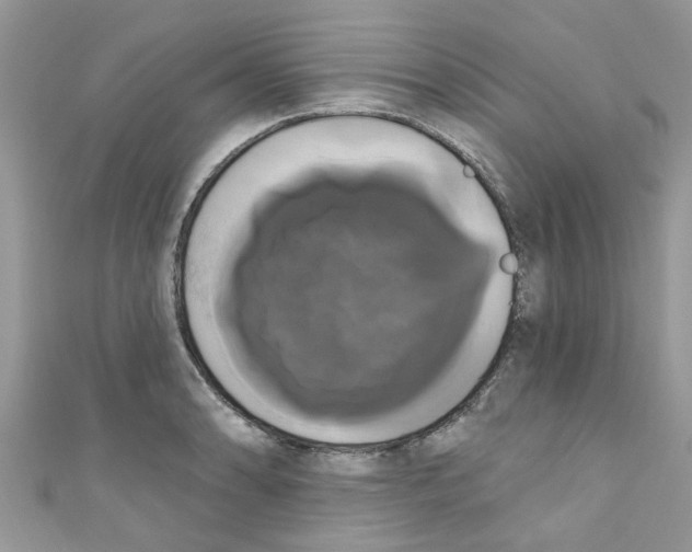 X0000111021086200907171850