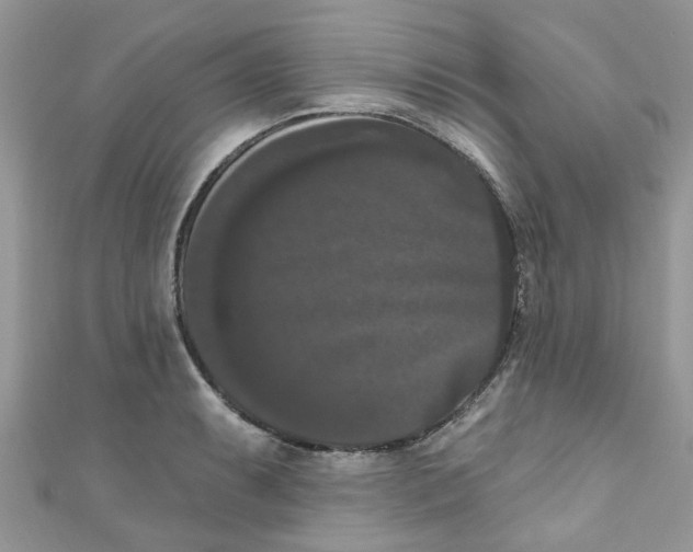 X0000111021087200907171850