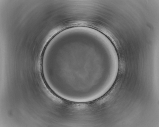 X0000111021090200907171850