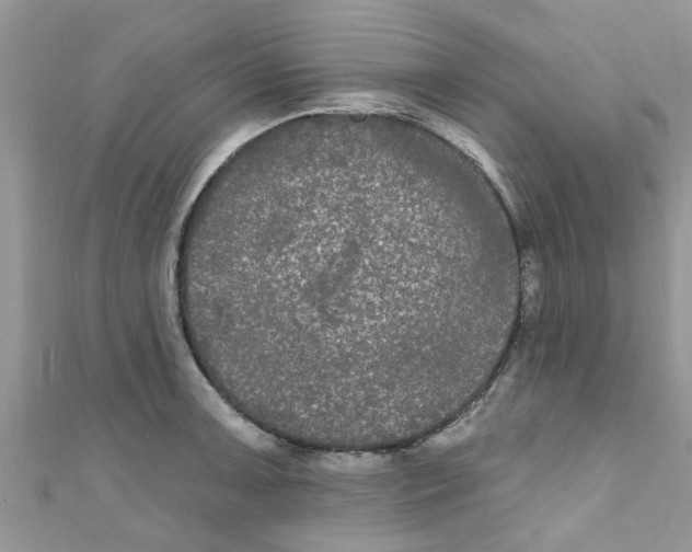 X0000111021091200907171850
