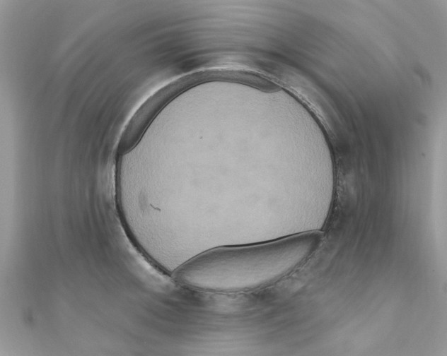 X0000111021092200907171850