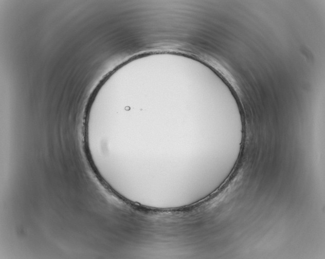 X0000111021093200907171850