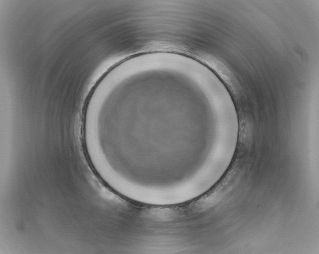 X0000111021094200907171850