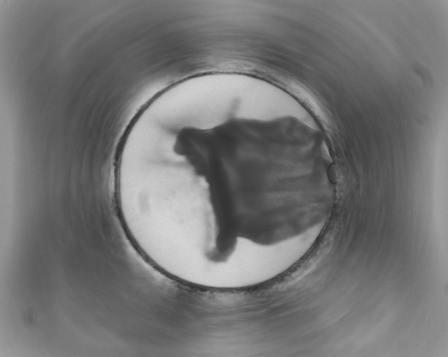 X0000111021095200907171850