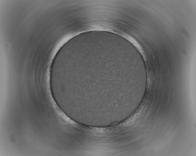 X0000111021096200907171850