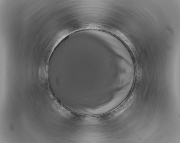 X0000111021097200907171850