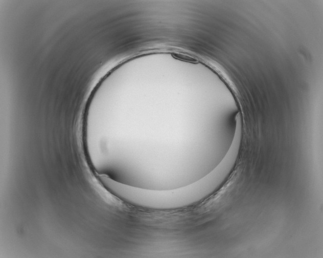 X0000111021098200907171850