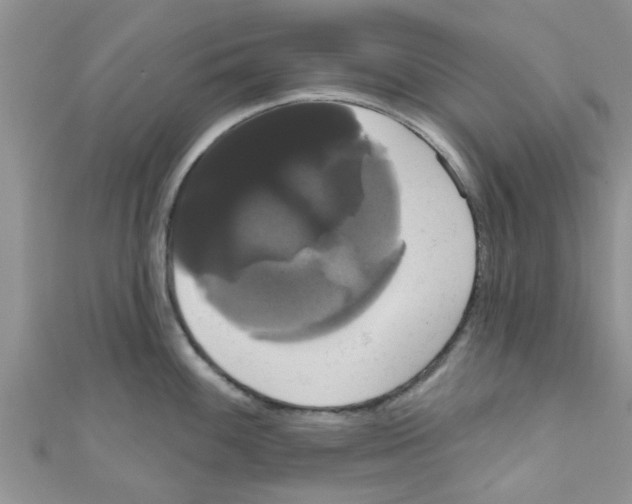 X0000111021100200907171850
