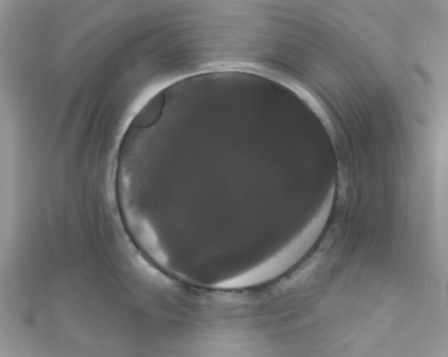 X0000111021102200907171850