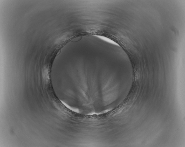 X0000111021106200907171849