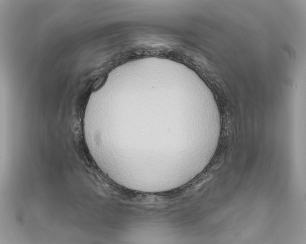 X0000111021109200907171849