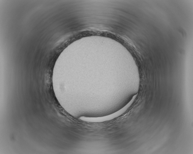 X0000111021110200907171849