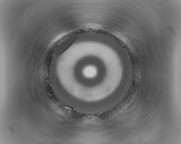 X0000111021112200907171849
