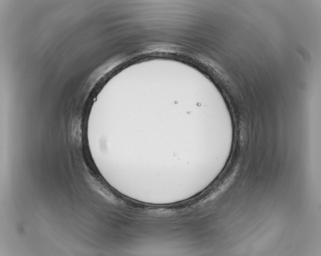 X0000111021113200907171849
