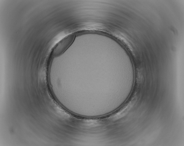 X0000111021114200907171849
