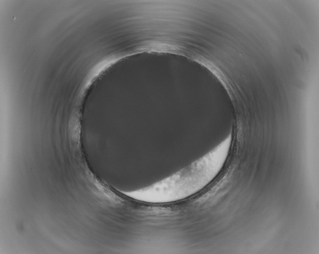 X0000111021115200907171849