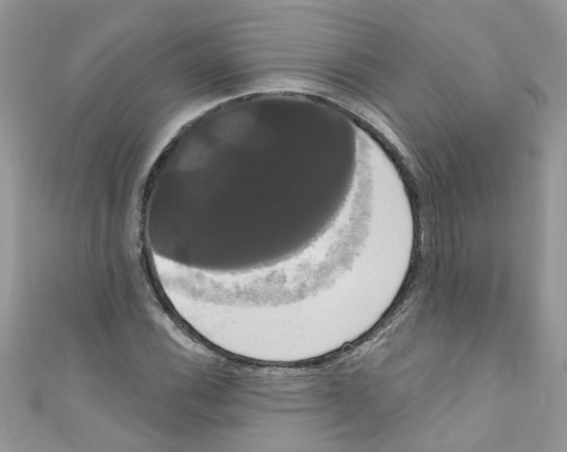 X0000111021116200907171849