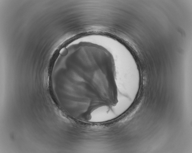 X0000111021117200907171849