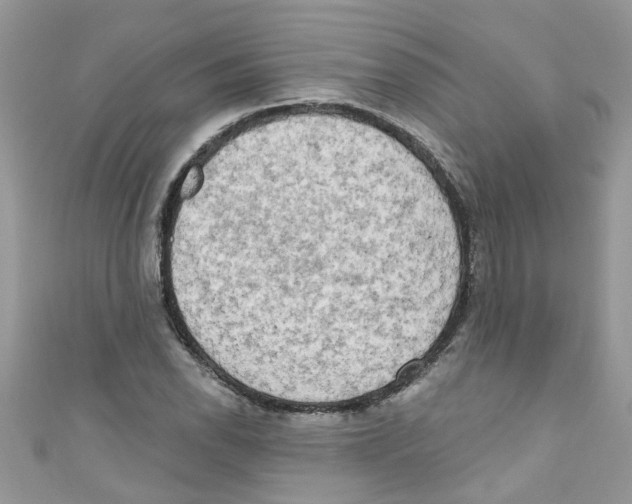 X0000111021118200907171849