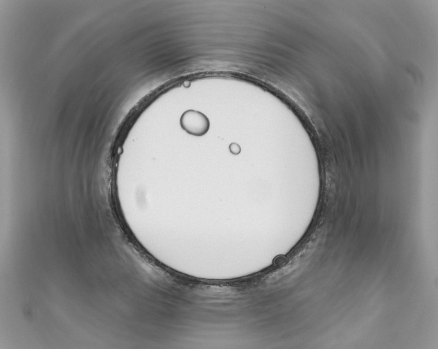 X0000111021119200907171849